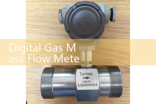 Digital gas mass flowmeter
